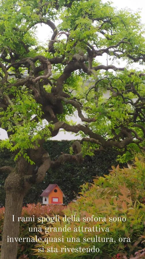 Al Casale B&B Casalserugo Εξωτερικό φωτογραφία