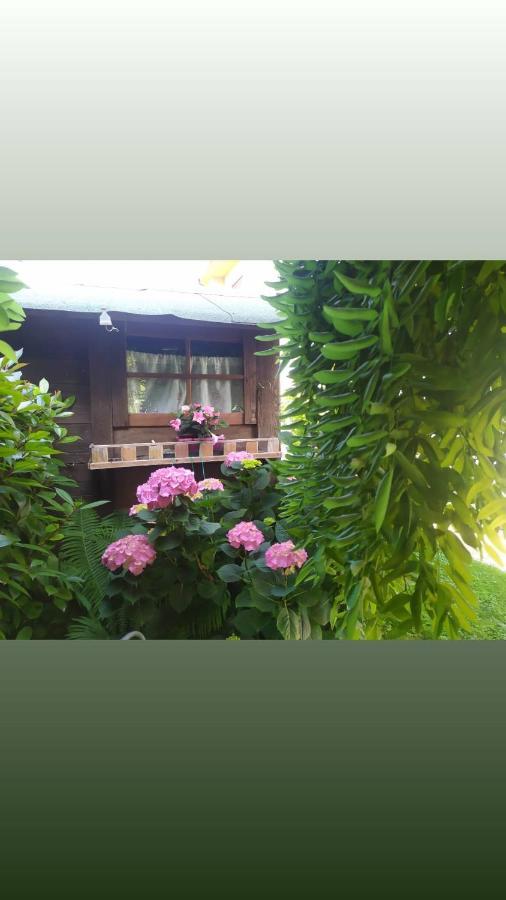 Al Casale B&B Casalserugo Εξωτερικό φωτογραφία