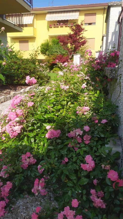 Al Casale B&B Casalserugo Εξωτερικό φωτογραφία